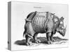 Rhinocerous, No. 76 from "Historia Animalium" by Conrad Gesner (1516-65) Published in July 1815-Albrecht Dürer-Stretched Canvas