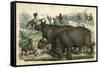 Rhinos Cornered-null-Framed Stretched Canvas