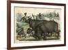 Rhinos Cornered-null-Framed Premium Giclee Print