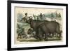 Rhinos Cornered-null-Framed Premium Giclee Print