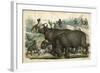 Rhinos Cornered-null-Framed Art Print