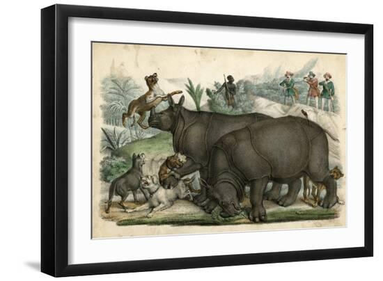 Art Print, , large