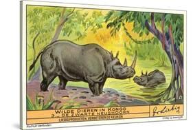 Rhinos in the Congo-null-Stretched Canvas