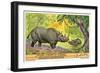 Rhinos in the Congo-null-Framed Premium Giclee Print