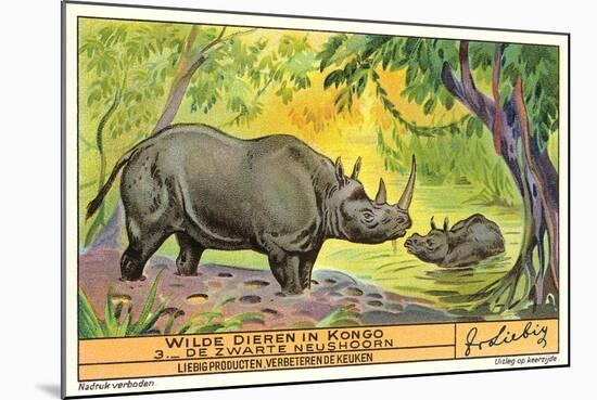 Rhinos in the Congo-null-Mounted Art Print