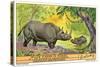 Rhinos in the Congo-null-Stretched Canvas