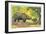 Rhinos in the Congo-null-Framed Art Print