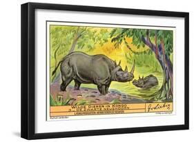 Rhinos in the Congo-null-Framed Art Print