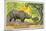 Rhinos in the Congo-null-Mounted Art Print