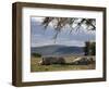 Rhinos Rest under the Shade of a Tree in Lake Nakuru National Park, Kenya, East Africa, Africa-Andrew Mcconnell-Framed Photographic Print