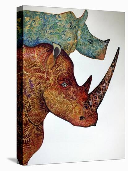 Rhinos-Oxana Zaika-Stretched Canvas