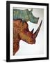 Rhinos-Oxana Zaika-Framed Giclee Print