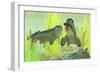 Rhizodus Hibberti, an Extinct Group of Carboniferous Lobe-Finned Fish-null-Framed Premium Giclee Print