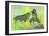 Rhizodus Hibberti, an Extinct Group of Carboniferous Lobe-Finned Fish-null-Framed Art Print