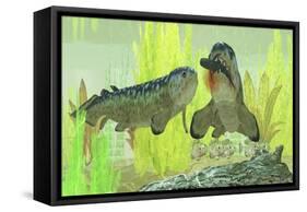 Rhizodus Hibberti, an Extinct Group of Carboniferous Lobe-Finned Fish-null-Framed Stretched Canvas