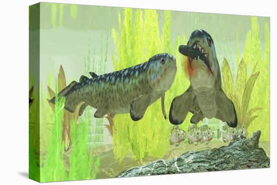 Rhizodus Hibberti, an Extinct Group of Carboniferous Lobe-Finned Fish-null-Stretched Canvas