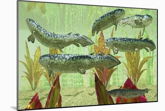 Rhizodus Hibberti, an Extinct Group of Carboniferous Lobe-Finned Fish-null-Mounted Premium Giclee Print