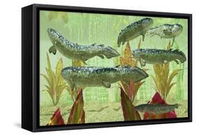 Rhizodus Hibberti, an Extinct Group of Carboniferous Lobe-Finned Fish-null-Framed Stretched Canvas