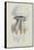 Rhizophora, Tenby, 1854: Barrel Jellyfish-Philip Henry Gosse-Framed Stretched Canvas