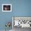 Rho Ophiuchi Nebula-Stocktrek Images-Framed Premium Photographic Print displayed on a wall