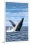 Rhode Island, Humpback Whale-Lantern Press-Framed Art Print