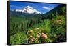 Rhodendron flowers blooming on plant with mountain range in the background, Mt Hood, Lolo Pass,...-null-Framed Stretched Canvas