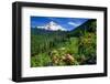 Rhodendron flowers blooming on plant with mountain range in the background, Mt Hood, Lolo Pass,...-null-Framed Photographic Print