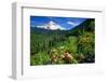 Rhodendron flowers blooming on plant with mountain range in the background, Mt Hood, Lolo Pass,...-null-Framed Photographic Print