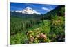 Rhodendron flowers blooming on plant with mountain range in the background, Mt Hood, Lolo Pass,...-null-Framed Photographic Print