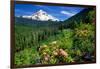 Rhodendron flowers blooming on plant with mountain range in the background, Mt Hood, Lolo Pass,...-null-Framed Photographic Print