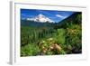 Rhodendron flowers blooming on plant with mountain range in the background, Mt Hood, Lolo Pass,...-null-Framed Photographic Print