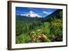 Rhodendron flowers blooming on plant with mountain range in the background, Mt Hood, Lolo Pass,...-null-Framed Photographic Print
