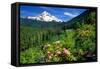 Rhodendron flowers blooming on plant with mountain range in the background, Mt Hood, Lolo Pass,...-null-Framed Stretched Canvas