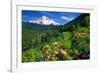 Rhodendron flowers blooming on plant with mountain range in the background, Mt Hood, Lolo Pass,...-null-Framed Photographic Print