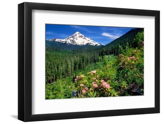 Premium Photographic Print, , large