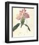 Rhodendron-Charles Rennie Mackintosh-Framed Premium Giclee Print