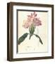 Rhodendron-Charles Rennie Mackintosh-Framed Premium Giclee Print