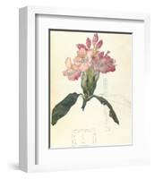 Rhodendron-Charles Rennie Mackintosh-Framed Premium Giclee Print