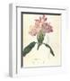 Rhodendron-Charles Rennie Mackintosh-Framed Premium Giclee Print