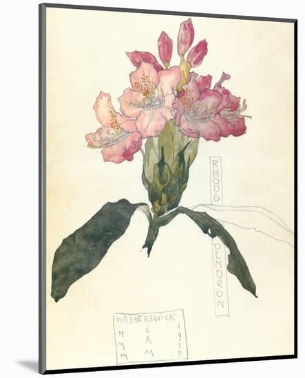 Rhodendron-Charles Rennie Mackintosh-Mounted Premium Giclee Print