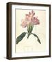 Rhodendron-Charles Rennie Mackintosh-Framed Premium Giclee Print