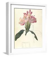 Rhodendron-Charles Rennie Mackintosh-Framed Premium Giclee Print