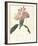 Rhodendron-Charles Rennie Mackintosh-Framed Premium Giclee Print