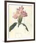 Rhodendron-Charles Rennie Mackintosh-Framed Premium Giclee Print