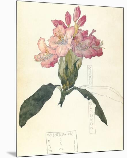 Rhodendron-Charles Rennie Mackintosh-Mounted Premium Giclee Print