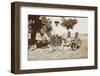 Rhodesia - Zimbabwe - Cheetah Hunting-null-Framed Photographic Print