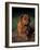 Rhodesian Ridgeback Puppy with Front Paws Crossed-Adriano Bacchella-Framed Photographic Print