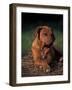 Rhodesian Ridgeback Puppy with Front Paws Crossed-Adriano Bacchella-Framed Photographic Print