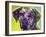 Rhodesian Ridgeback-Dean Russo-Framed Giclee Print