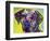 Rhodesian Ridgeback-Dean Russo-Framed Giclee Print